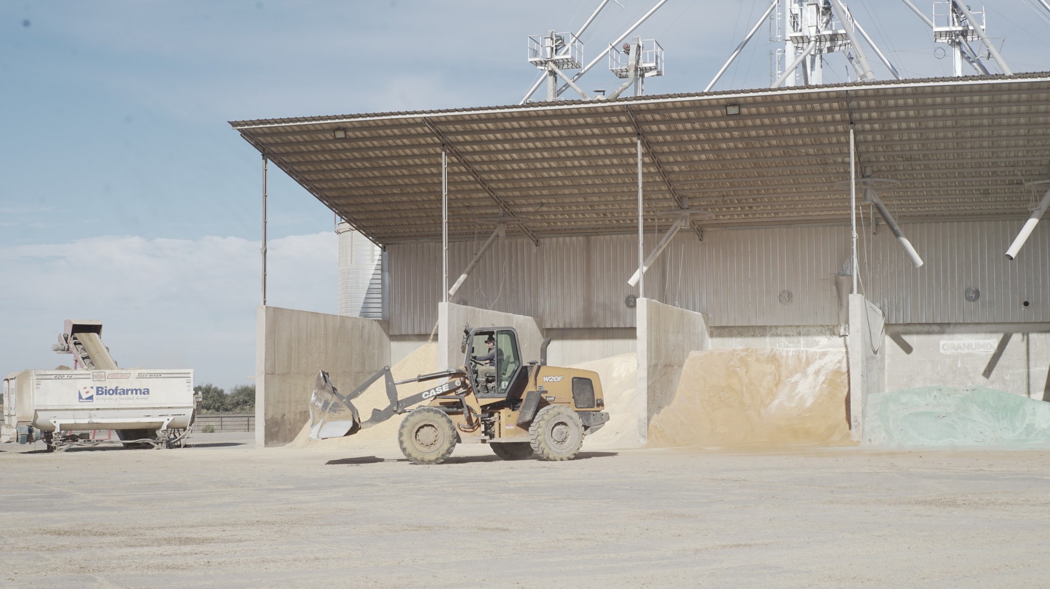 Cómo optimizar el rendimiento del engorde a corral